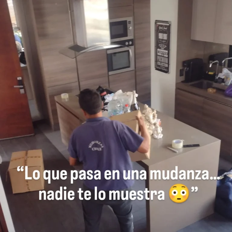 Instagram post from mudanzaschile_. This post is in position 0.