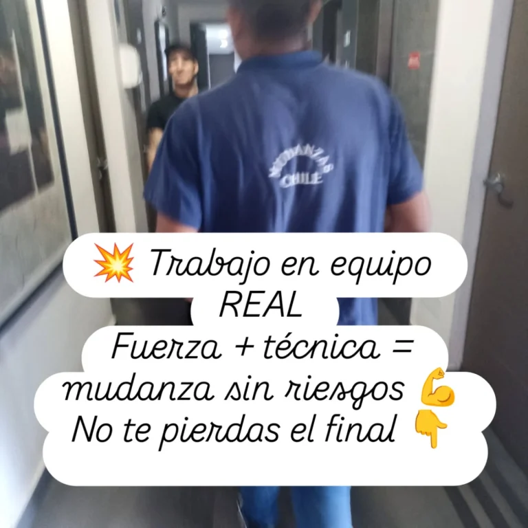 Instagram post from mudanzaschile_. This post is in position 6.