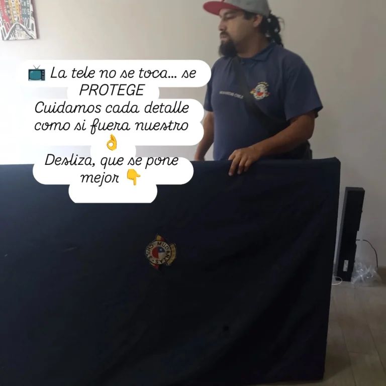 Instagram post from mudanzaschile_. This post is in position 3.