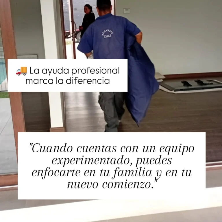 Instagram post from mudanzaschile_. This post is in position 6.