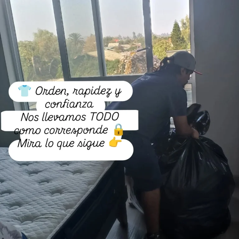 Instagram post from mudanzaschile_. This post is in position 4.