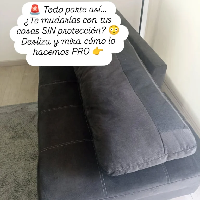 Instagram post from mudanzaschile_. This post is in position 0.