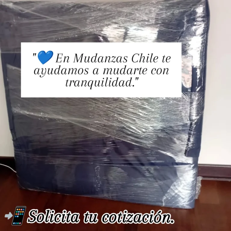 Instagram post from mudanzaschile_. This post is in position 7.