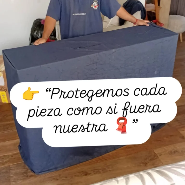 Instagram post from mudanzaschile_. This post is in position 5.