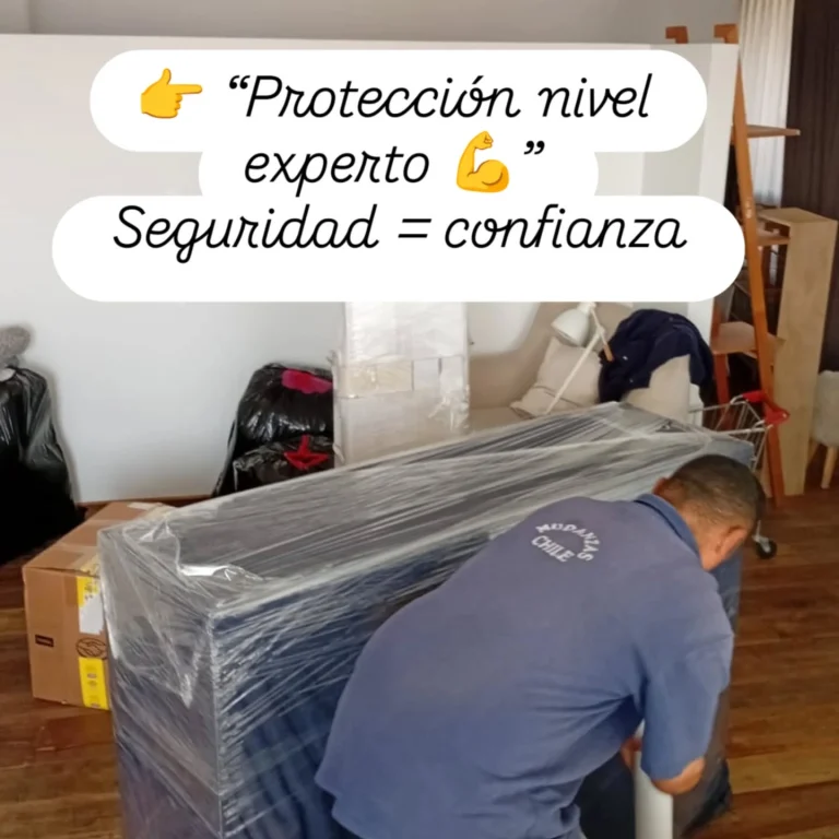 Instagram post from mudanzaschile_. This post is in position 6.