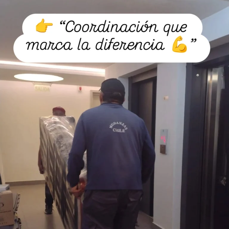 Instagram post from mudanzaschile_. This post is in position 3.