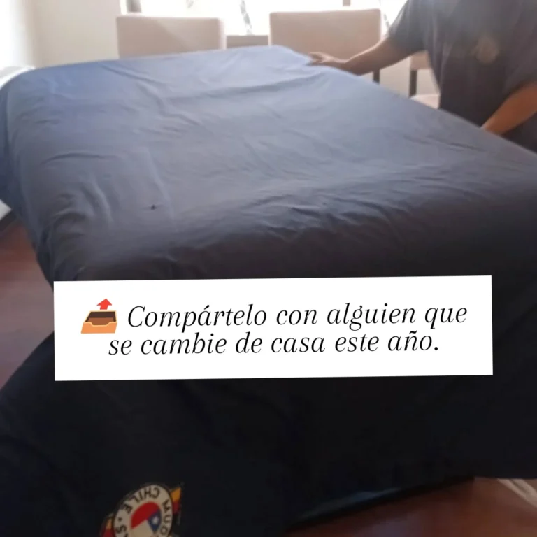 Instagram post from mudanzaschile_. This post is in position 9.