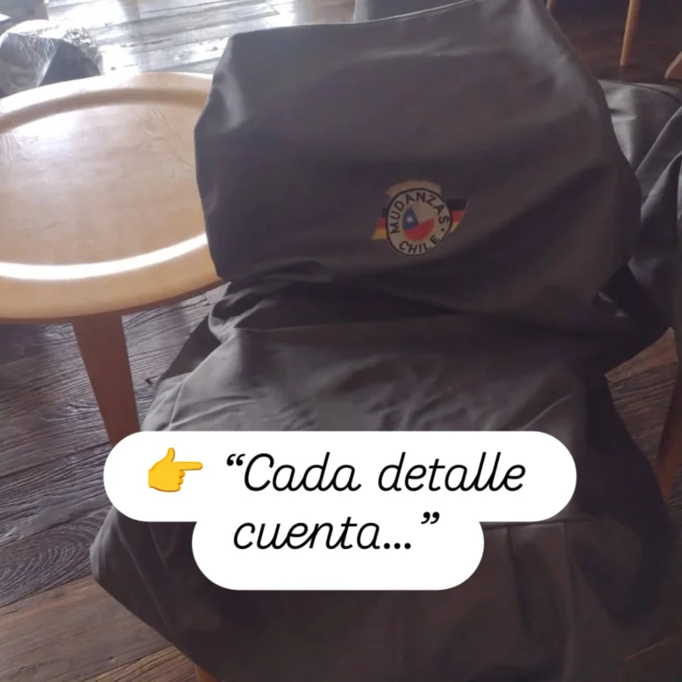 Instagram post from mudanzaschile_. This post is in position 2.