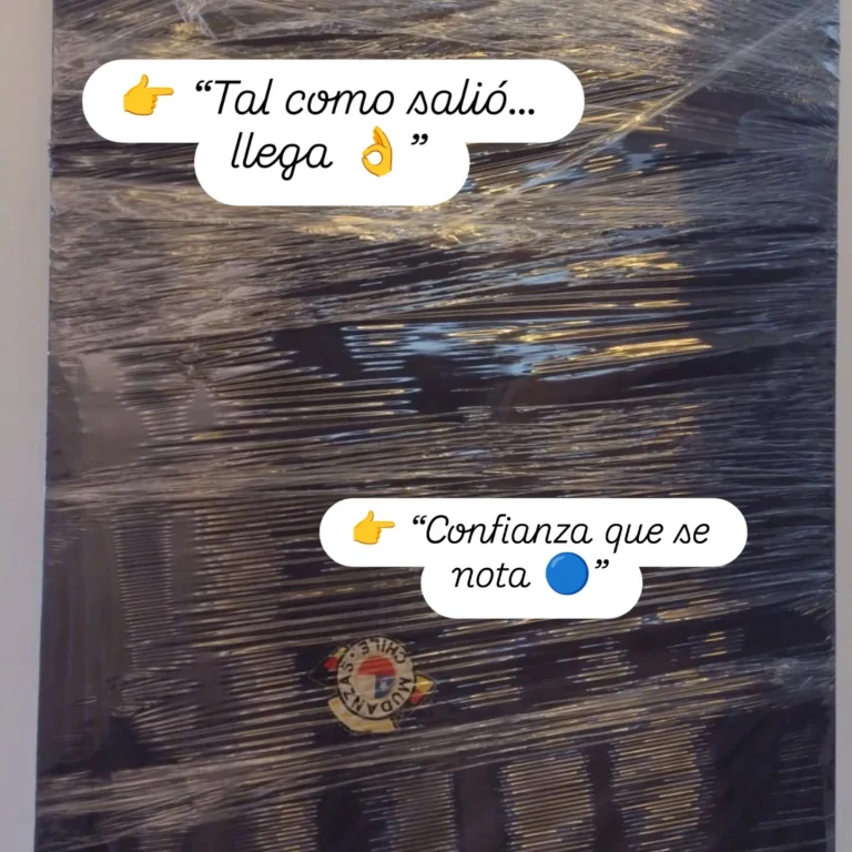 Instagram post from mudanzaschile_. This post is in position 8.